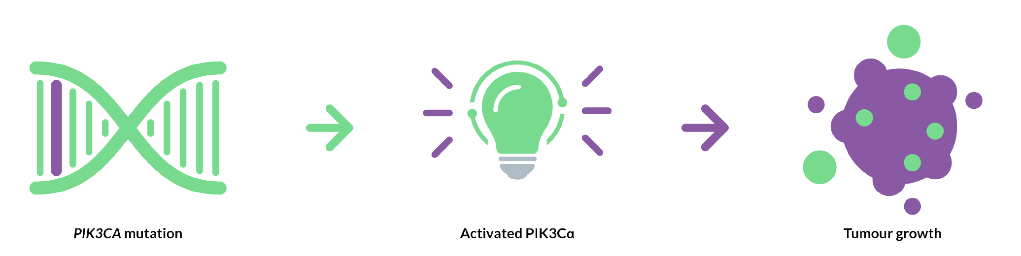 PIK3CA mutation infographic